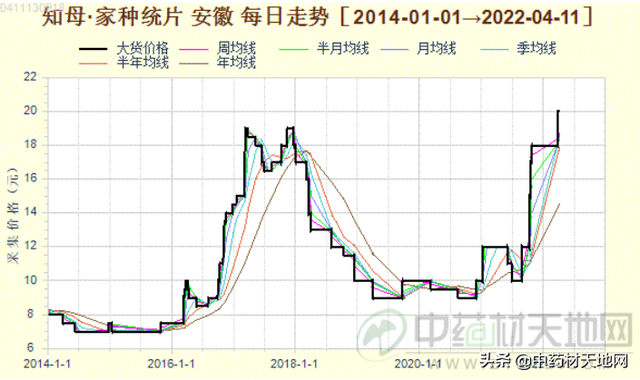涨价亳知母已进入种植 后市将如何？