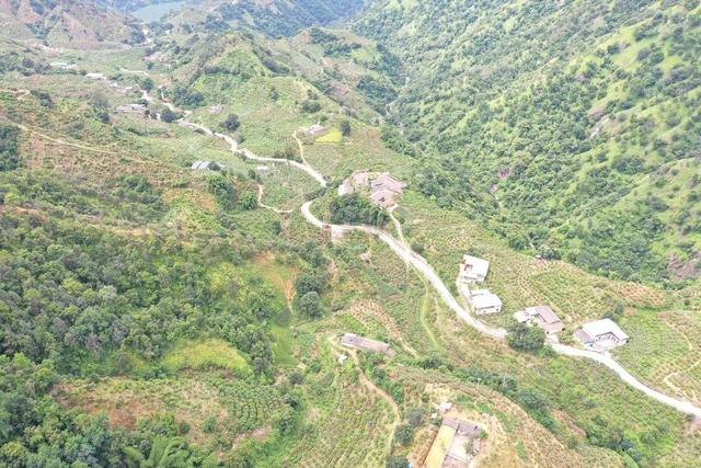 每年都有人来谈芒果出口！四川米易黑谷田村300余户人 种出2300万元产值