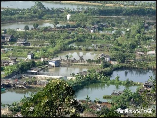 【建议收藏】高中地理-中国农业相关地理背景介绍