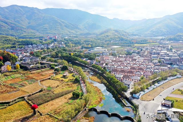 浙东红村，无土栽培“红芯”蔬菜，曾走进亚运食堂