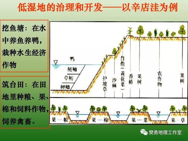 【建议收藏】高中地理-中国农业相关地理背景介绍