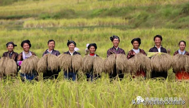 融水灵芝、紫黑香糯喜获广西地方标准立项