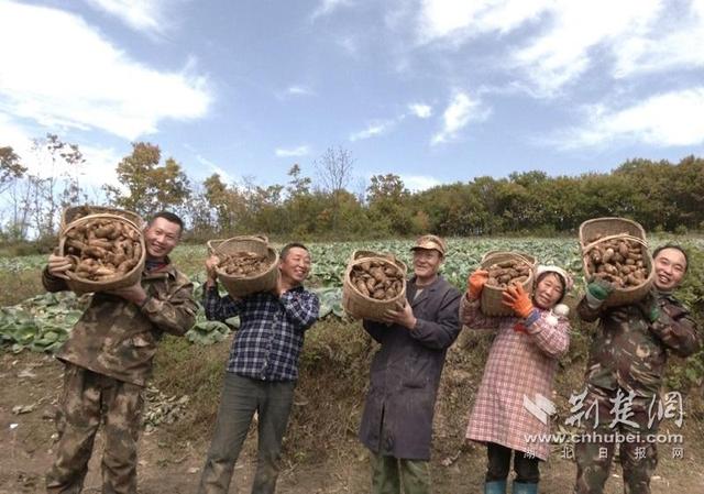 退伍不褪色、致富不忘乡，保康县天麻种植“领头羊”被群众点赞