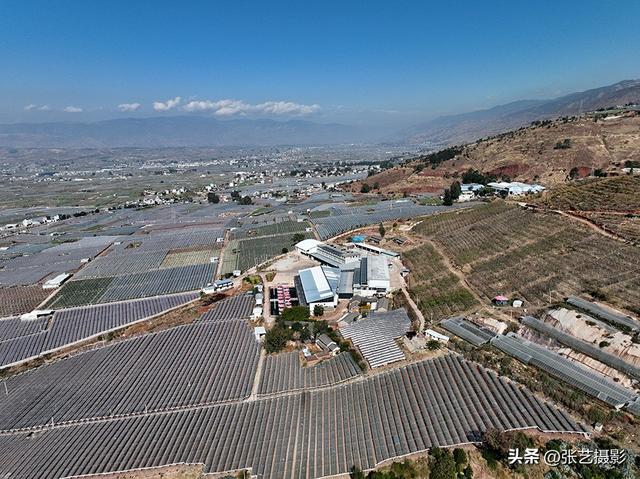 深藏大理深山中最古老百年咖啡园-朱苦拉，村里人以种植咖啡为生