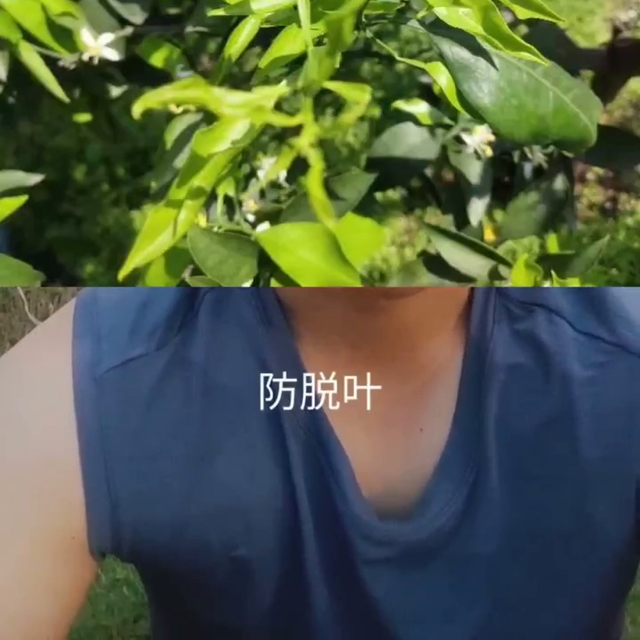 四川顾凯农技学习，植物生长素，既可以保果，促长。又可以...