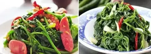 贵州人最爱的18种野菜，你尝过几种？