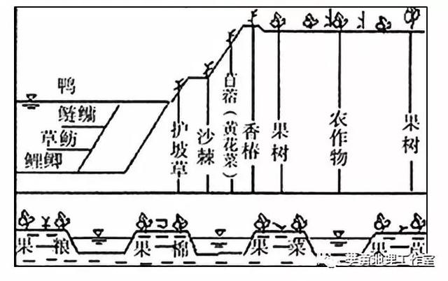 【建议收藏】高中地理-中国农业相关地理背景介绍