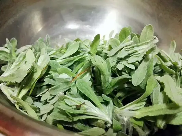 贵州人最爱的18种野菜，你尝过几种？