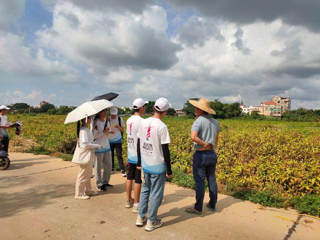 走访富贵竹种植专业村麻章世乔村