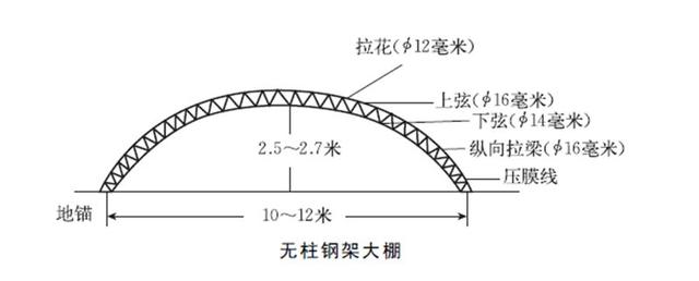 如何建造塑料大棚？如何安排蔬菜种植？