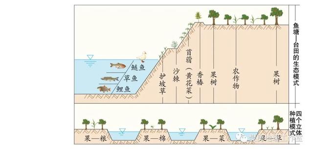 【建议收藏】高中地理-中国农业相关地理背景介绍