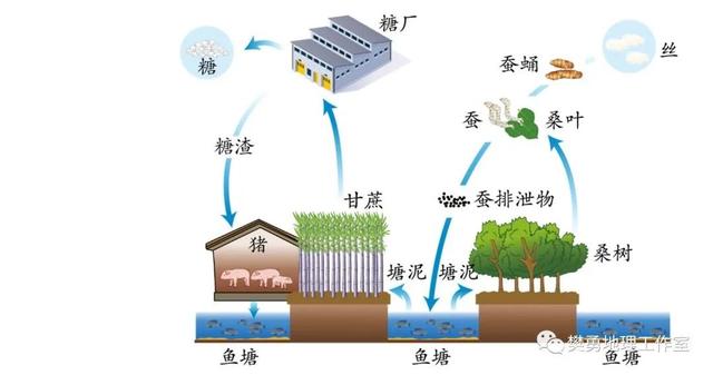 【建议收藏】高中地理-中国农业相关地理背景介绍