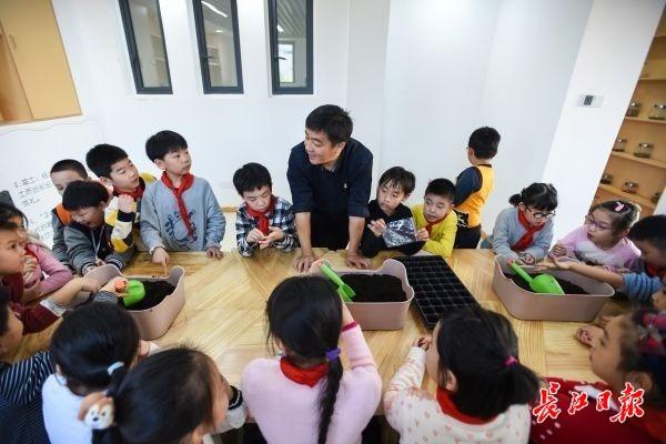 在“种子教室”学种菜，小学生楼顶种菜薹收获劳动快乐