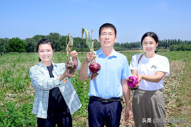 洋葱新品种及全程机械化绿色高效生产技术观摩会在肥乡圆满举行