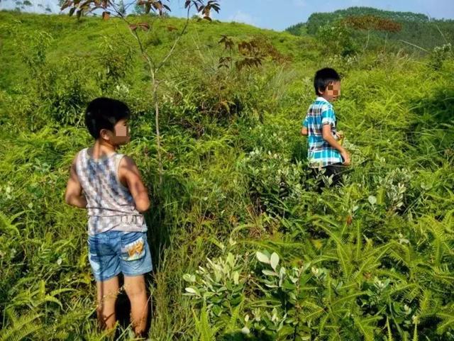 山上捻子熟了！柳州人，约起