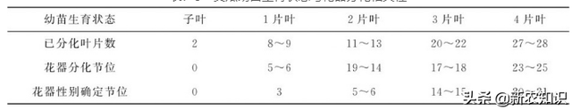 温室黄瓜栽培要点、以及存在的问题和解决措施，学会这些高产不难