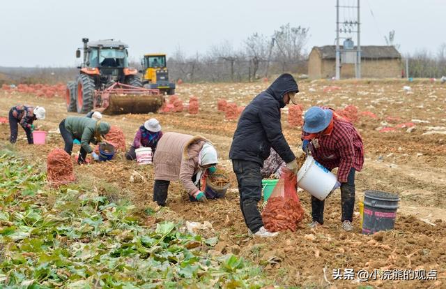 山西万荣县中药材种植带动农民增收、适应经济发展、助力乡村振兴