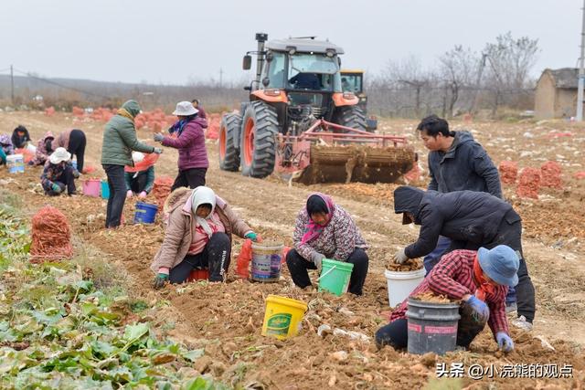 山西万荣县中药材种植带动农民增收、适应经济发展、助力乡村振兴