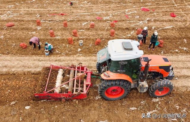 山西万荣县中药材种植带动农民增收、适应经济发展、助力乡村振兴