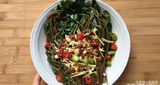 这种野菜会流血？但是美味价更高！