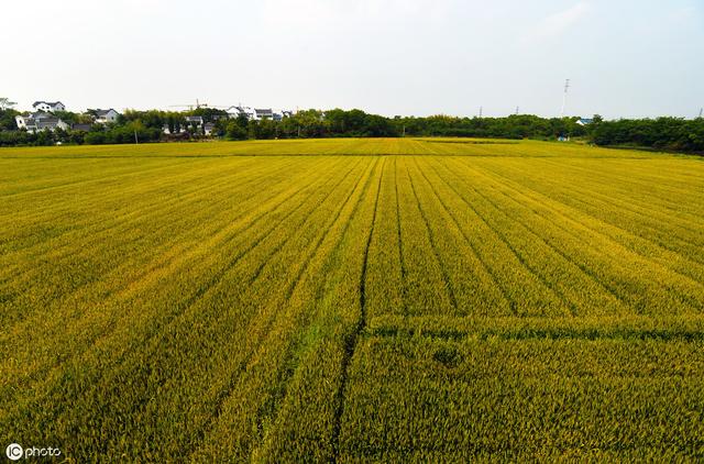 想承包100亩地搞种植，需要注意这8个关键问题 ，不要盲目流转