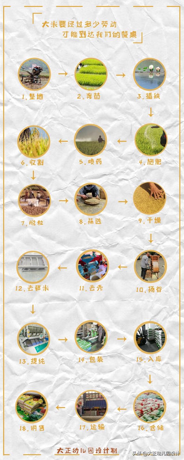 世界粮食日：一粒大米，需要经过多少道工序才能到我们的餐桌上