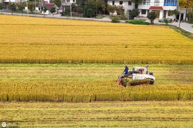 想承包100亩地搞种植，需要注意这8个关键问题 ，不要盲目流转