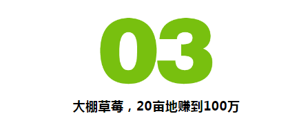 未来五年，大棚种植最值得投资？那一亩能赚多少钱？