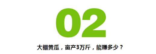 未来五年，大棚种植最值得投资？那一亩能赚多少钱？