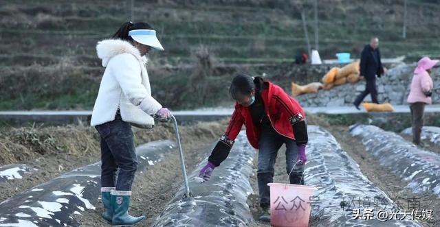 贵州麻江：冬闲田不闲 土豆种植忙