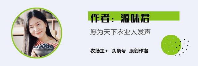 未来五年，大棚种植最值得投资？那一亩能赚多少钱？