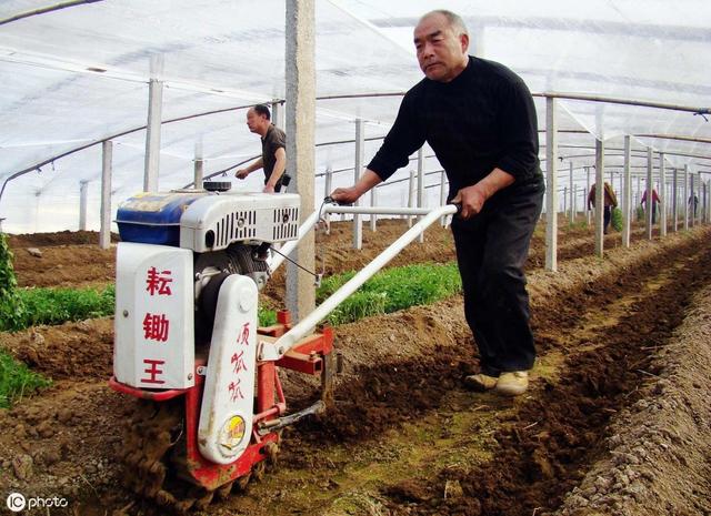 日光温室栽培机械化成为大势所趋，机械化生产贯穿各个过程