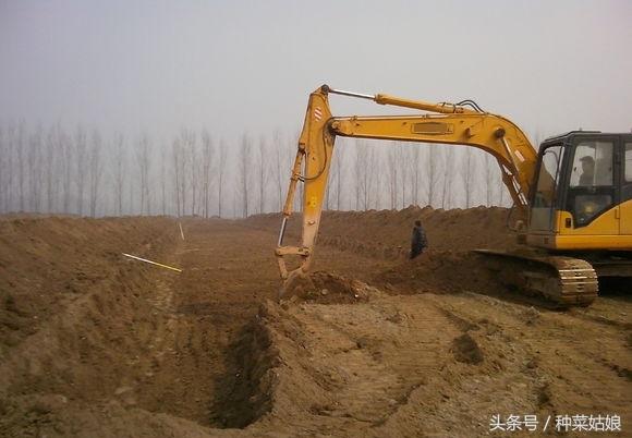 详细介绍浅水藕的种植方法，挺简单的，你也能学会