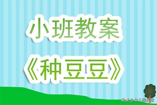 幼儿园小班教案《种豆豆》