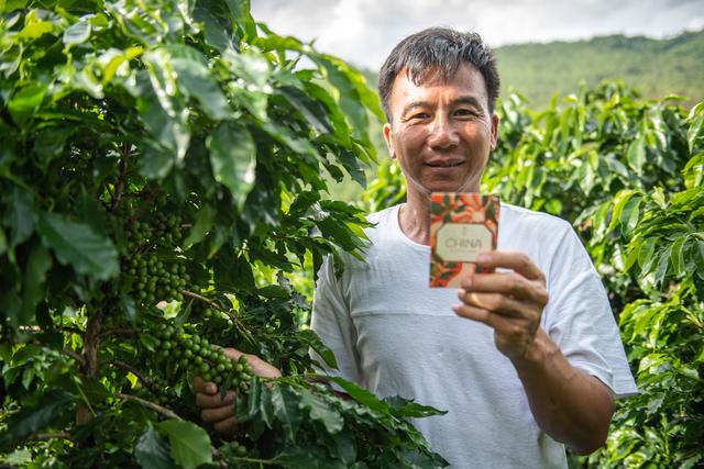 小豆子大门道 云南咖农蔡晴开的咖啡种植经