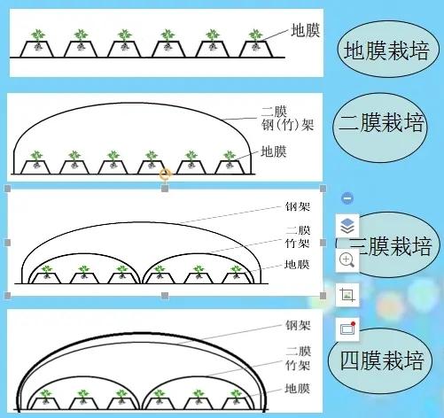 土豆种植4膜技术，与生长时期管理相结合，错峰上市增产提质