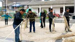 汉麻 种植-【乡村行 看振兴】清水：汉麻种植拓宽特色产业新路径