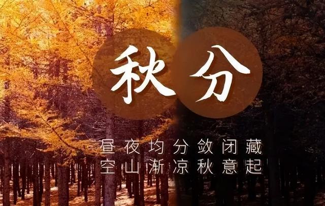 “秋分种冬菜，铺雪不愁菜”，秋分临近6种冬菜可播种了，别错过