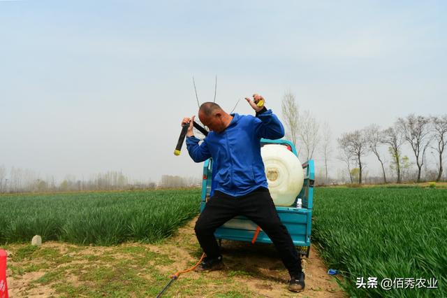 中药材芍药种植技术，春季管理是核心，掌握4个窍门，小白变专家