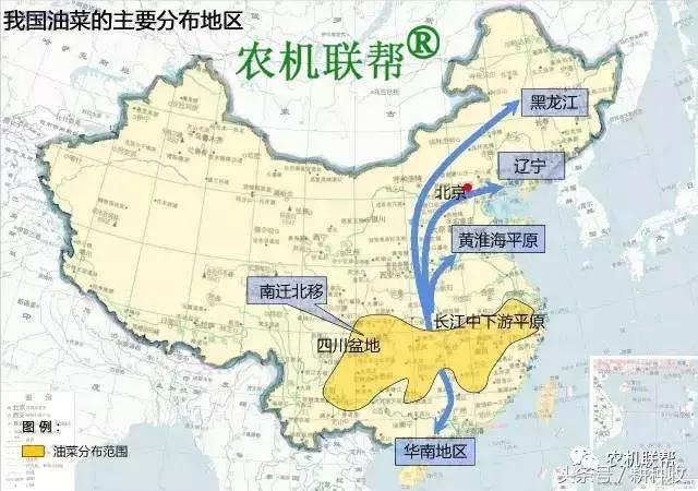 全国小麦、玉米、大豆、油菜、花生等粮食种植区域分布图，收藏！