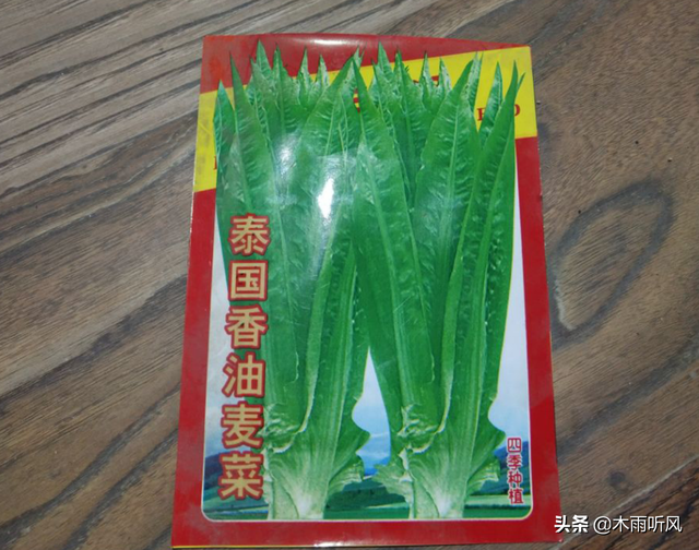 什么时候种植油麦菜？油麦菜的种植与管理