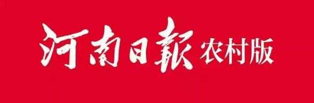 梁园区王楼乡：果蔬大棚架起乡村振兴“致富桥”