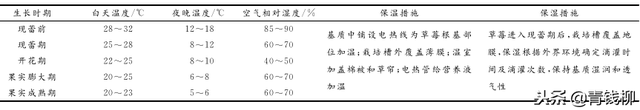 A型架草莓无土立体种植技术