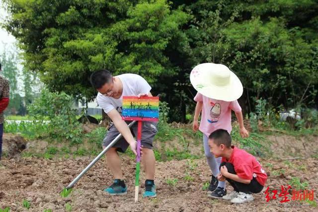 乡村新玩法：认养半分地一年1680元，提供新岗位让农户口袋鼓起来