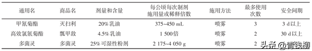 林下套种草珊瑚栽培技术的奇妙之处！