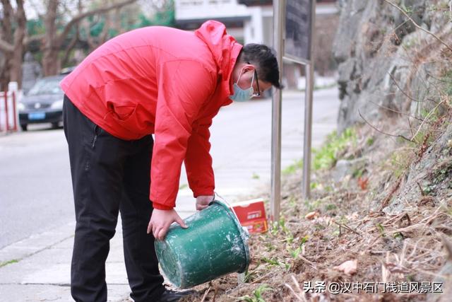 撒下绿色 收获希望——石门栈道植树节活动