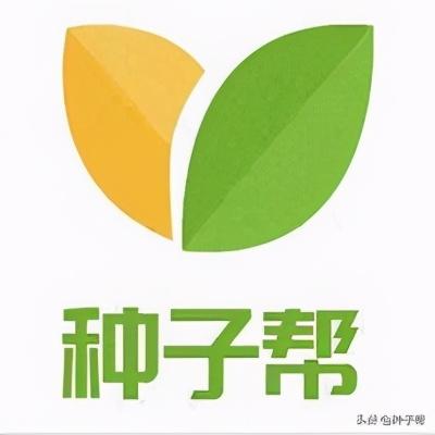 十大优质牧草品种介绍，一年可收获多次，产量高品质优