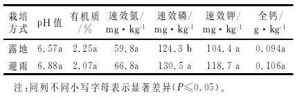 葡萄避雨栽培有利有弊，果农了解其弊端，有助于种植更高品质果