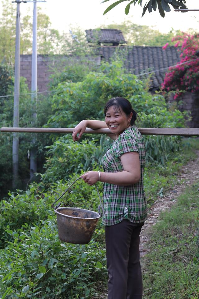 在农村，它是会“流血”的野菜，小孩吃了能长高，阳台也能种