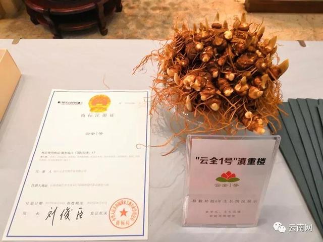 最新出炉！云南省发布“10大名药材” 它们是……